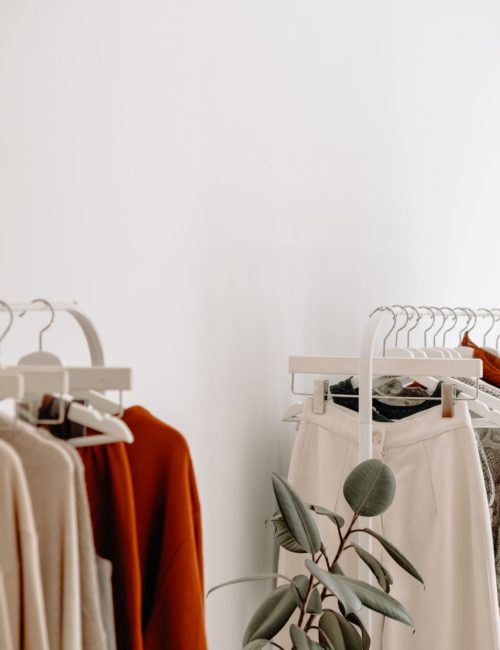 Image of clothing on a rail with a plant in front of them